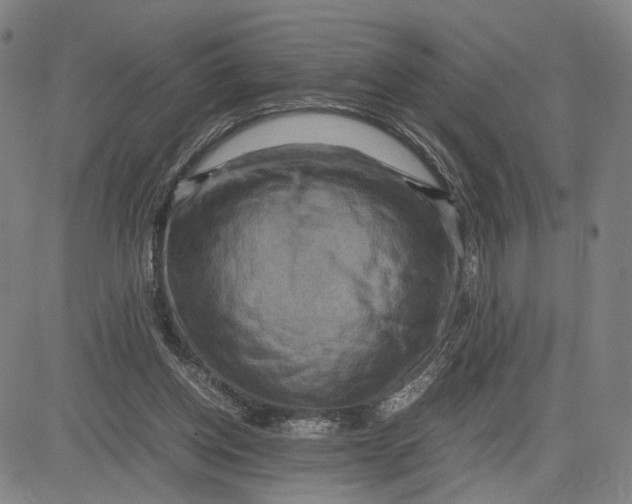 X0000083640158200703051709