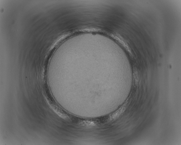 X0000083640159200703051709