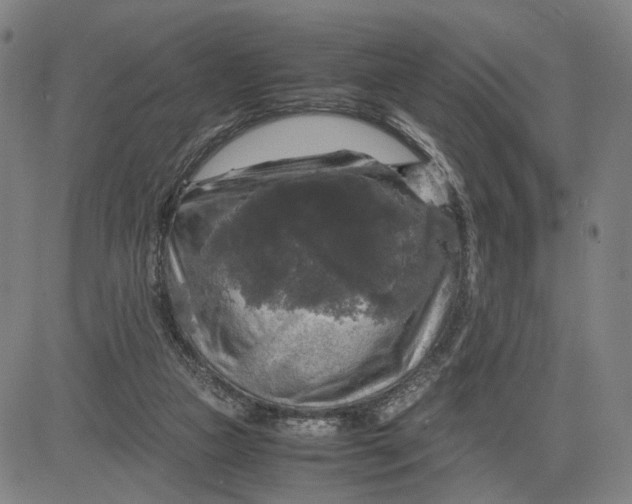 X0000083640161200703051710