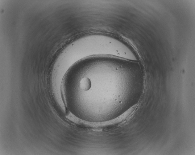 X0000083640162200703051710