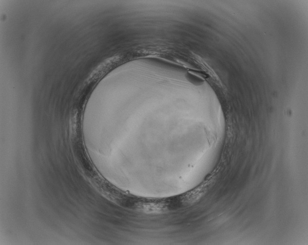 X0000083640163200703051710