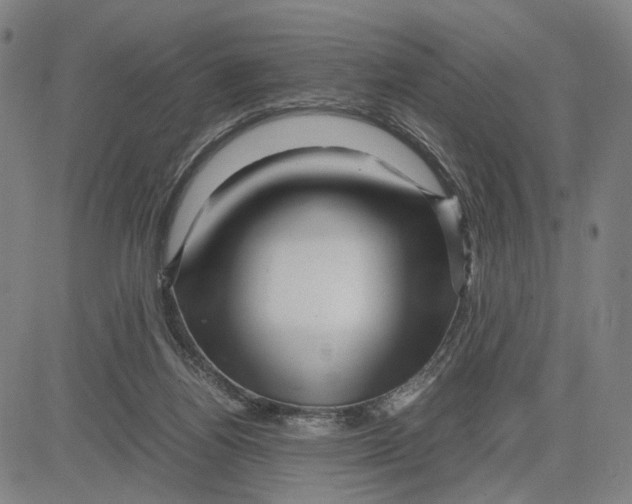 X0000083640164200703051710