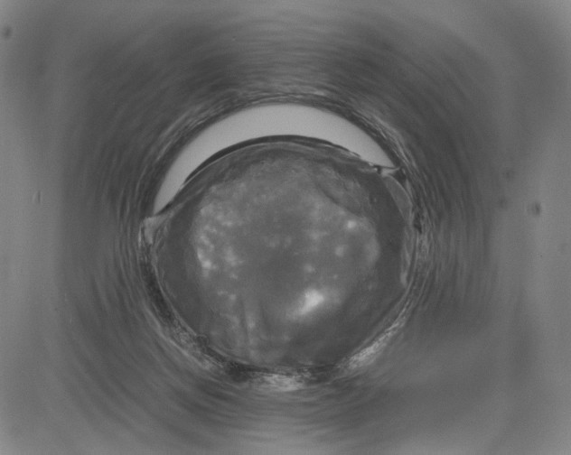 X0000083640166200703051710