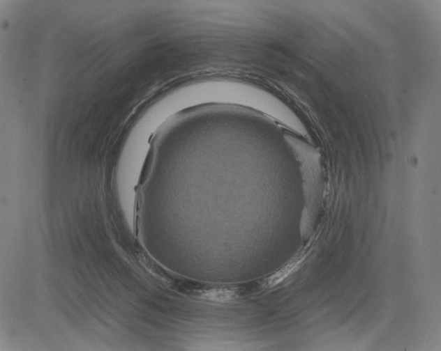 X0000083640168200703051710