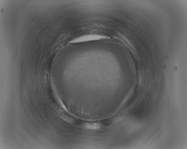 X0000083640169200703051710