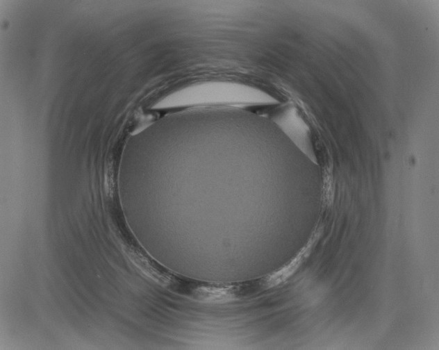 X0000083640170200703051710