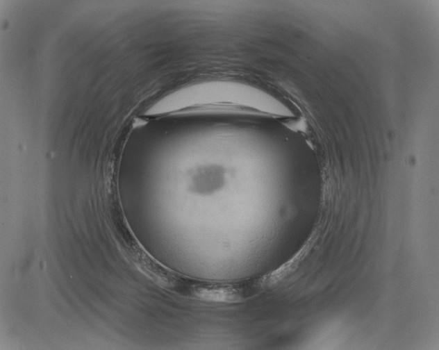 X0000083640171200703051710