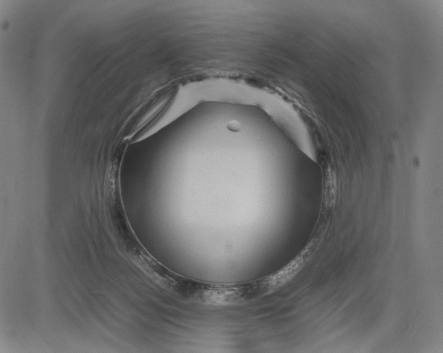 X0000083640172200703051710