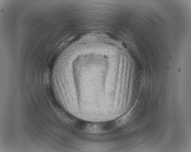 X0000083640174200703051710