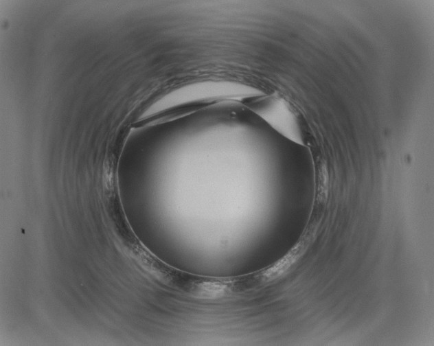 X0000083640176200703051710