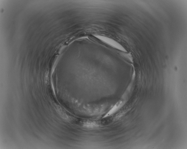 X0000083640177200703051710