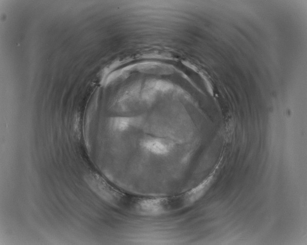 X0000083640178200703051710