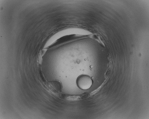 X0000083640179200703051710