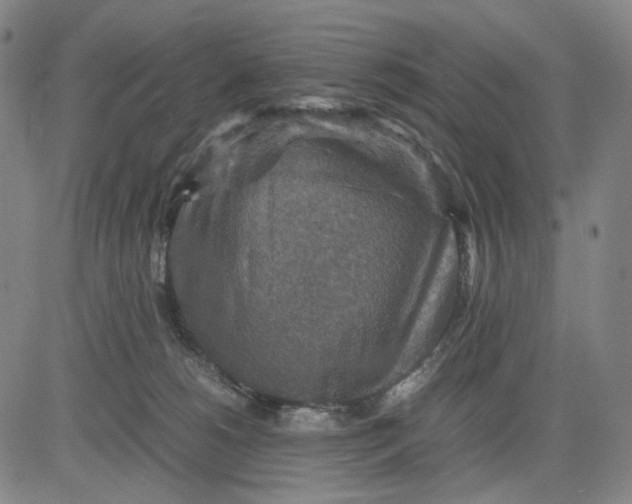 X0000083640180200703051710