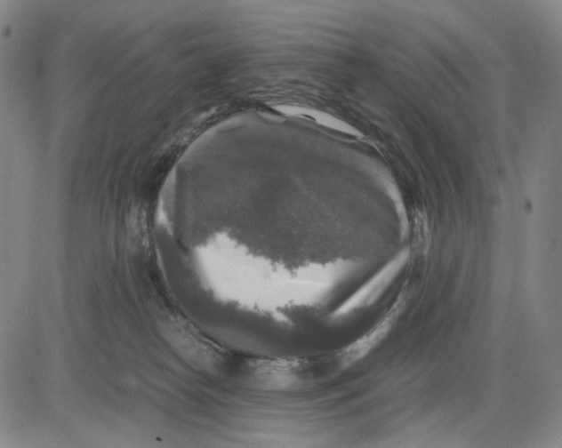 X0000083640182200703051710