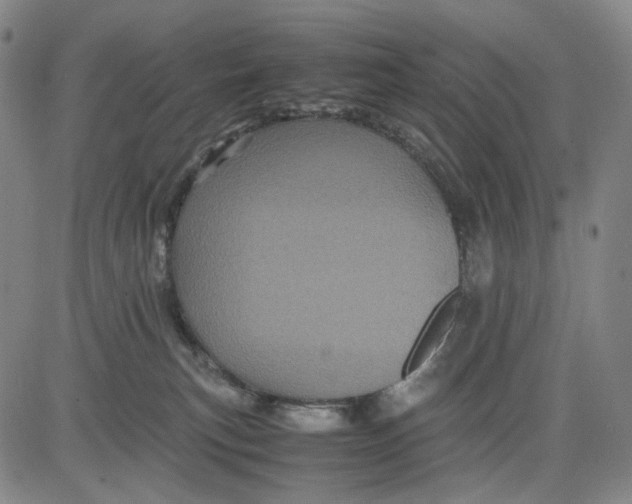 X0000083640183200703051710