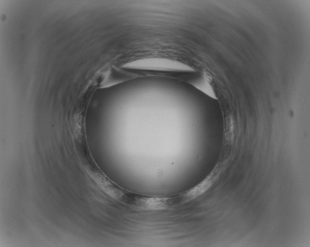 X0000083640184200703051710