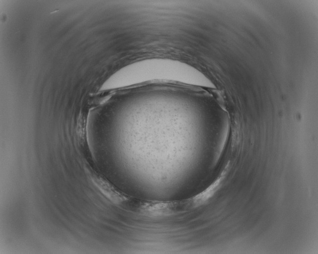 X0000083640186200703051710