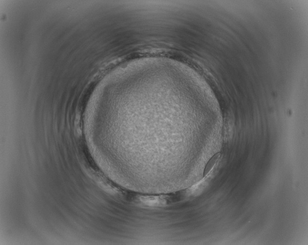 X0000083640187200703051710