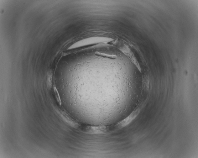 X0000083640188200703051710