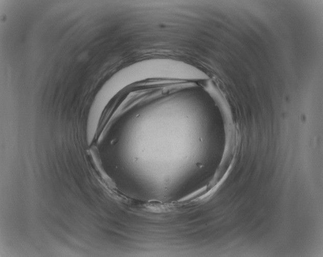 X0000083640190200703051710