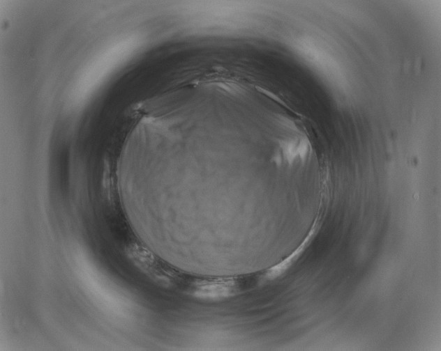 X0000083640191200703051710