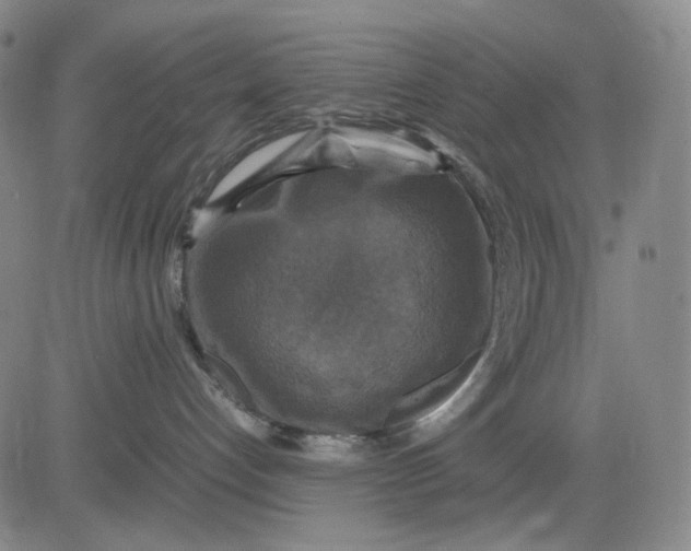 X0000083640192200703051710