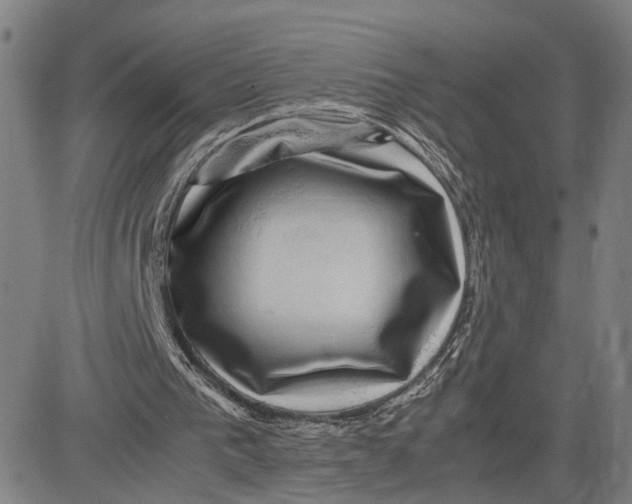 X0000083640193200703051709