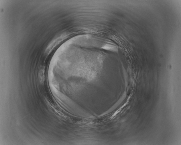 X0000083640194200703051709