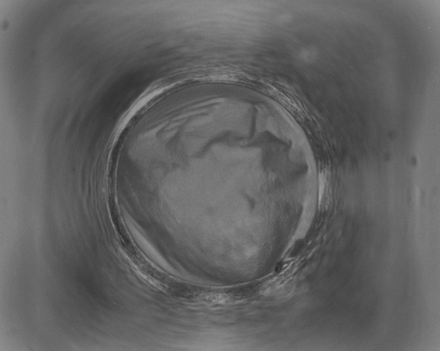 X0000083640195200703051709