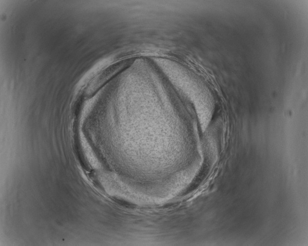 X0000083640197200703051709