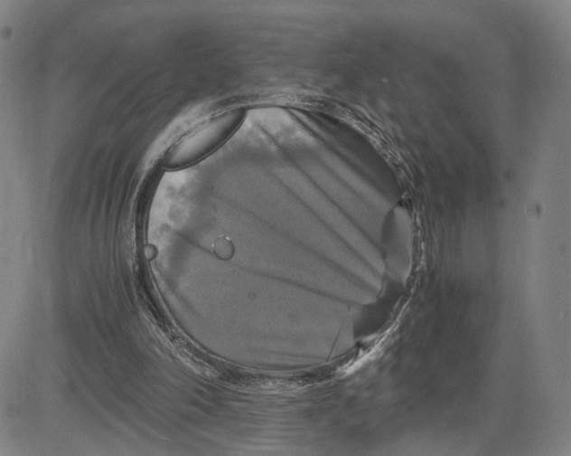 X0000083640198200703051709