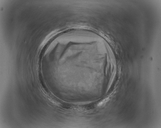 X0000083640199200703051709