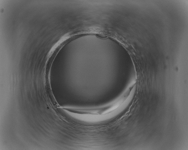 X0000083640200200703051709