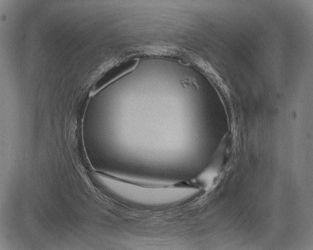 X0000083640201200703051709