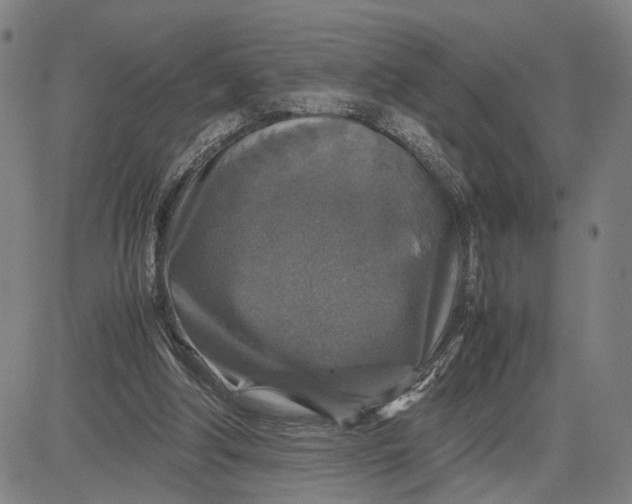 X0000083640202200703051709