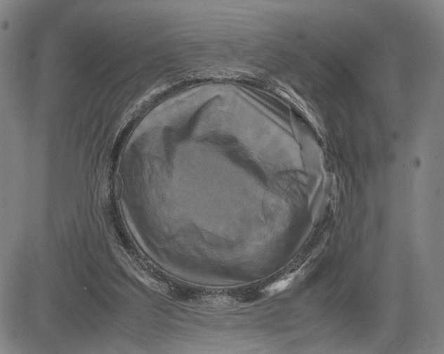 X0000083640203200703051709