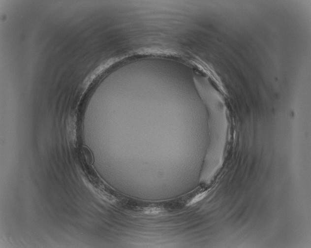 X0000083640204200703051709