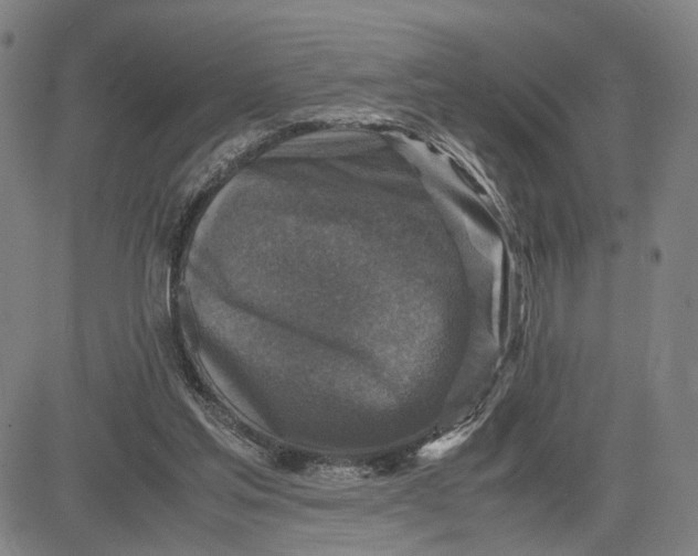 X0000083640205200703051709