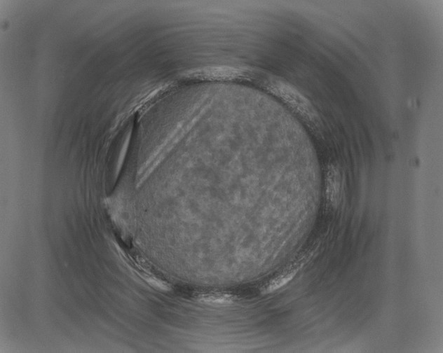 X0000083640206200703051709