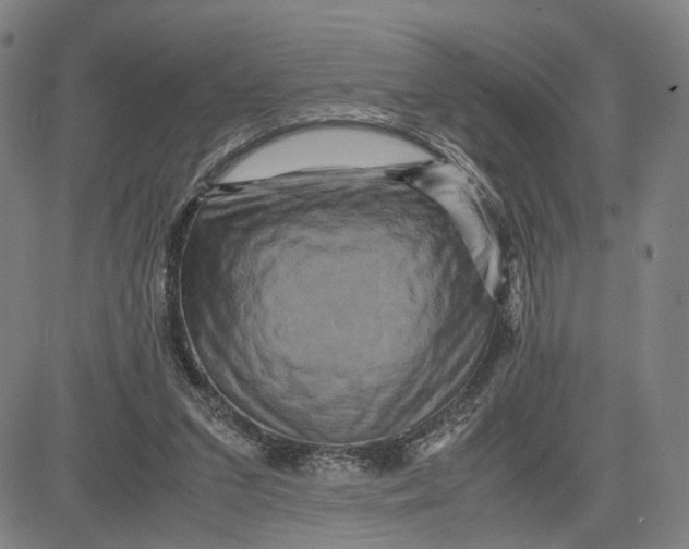 X0000083640207200703051709