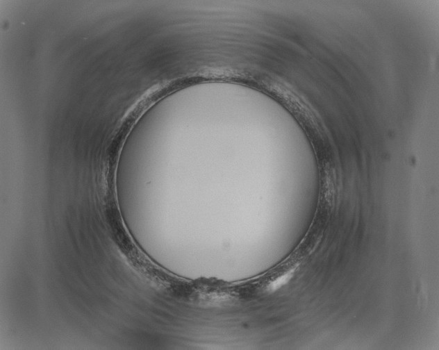 X0000083640208200703051709