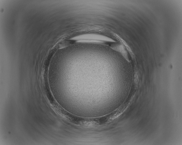 X0000083640209200703051709