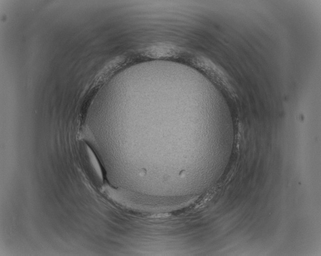 X0000083640210200703051709