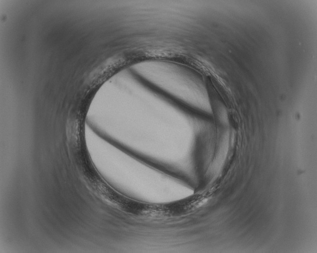 X0000083640211200703051709