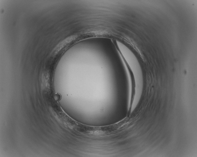 X0000083640212200703051709