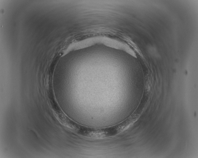 X0000083640213200703051709