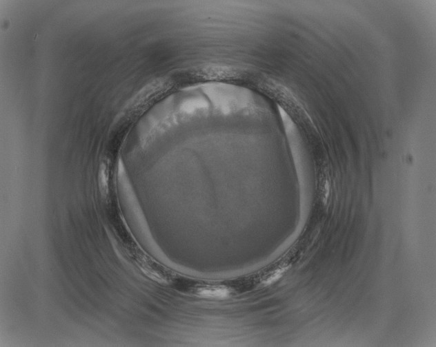 X0000083640214200703051709