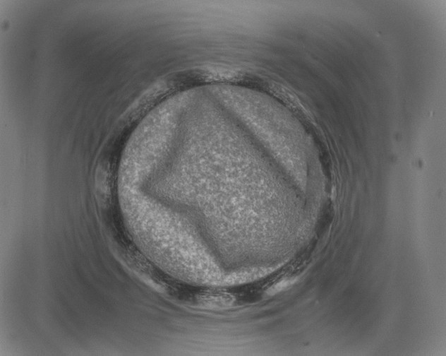 X0000083640215200703051709