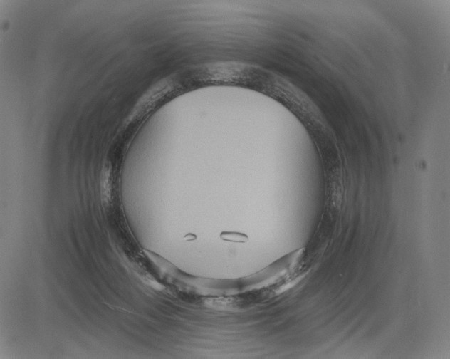 X0000083640216200703051709